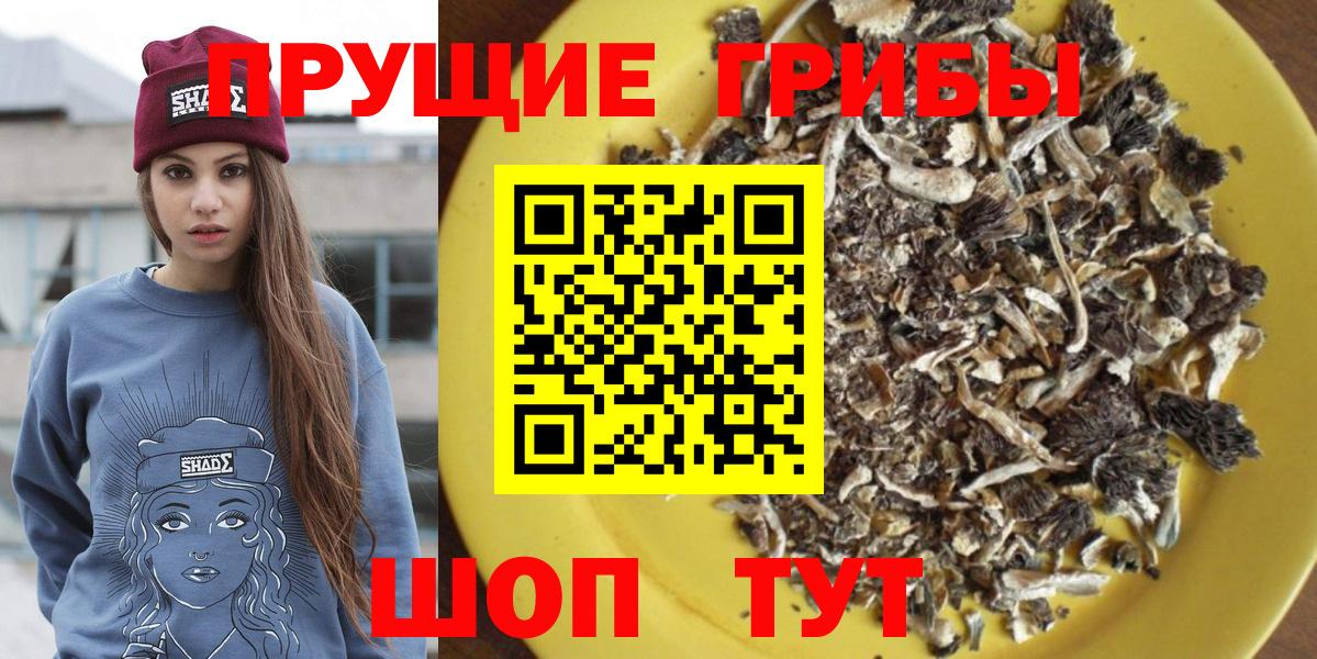 Галлюциногенные грибы ЛСД Шелехов